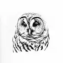 full barred owl tattoo design idea