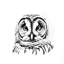full barred owl tattoo design idea