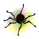 Spider tattoo design idea