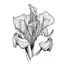 Flower iris et cheval tattoo design idea