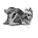 a yorkshire terrier tattoo design idea