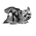 a yorkshire terrier tattoo design idea