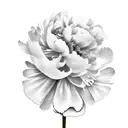 Peony with polish tattoo design idea