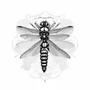 Dragonfly playing with a bumblebee  tattoo design idea