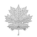 white oak and maple leaf intertwined  tattoo design idea