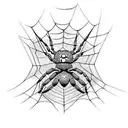 spider with web tattoo design idea