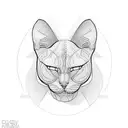 gato sphynx tattoo design idea