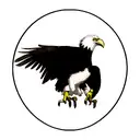 eagle  tattoo design idea