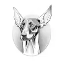 doberman  tattoo design idea