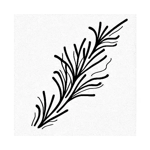 Line herbal collection with rosemary.Vector illustration for  icon,sticker,printable and tattoo Stock Vector | Adobe Stock