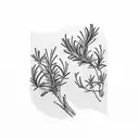 Two symmetric rosemary branches  tattoo design idea