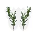two symmetric rosemary branches tattoo design idea