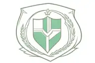 Fluminense F.C. SHIELD with 2 lines embracing the biceps, one green, and one velvet . tattoo design idea
