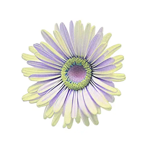 daisy violet chrysanthemum narcissus tattoo design idea