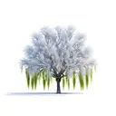 willow tree tattoo design idea
