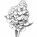 hydrangeas delphinium buganvillea tattoo design idea