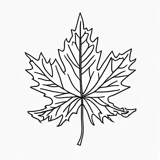 A beautifully detailed maple leaf intertwined with hiking and camping gear tattoo design idea