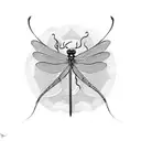 damselfly tattoo design idea