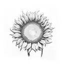 Sunflower on a single stem no leaves blowing in the wind hand-drawn tattoo design idea