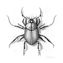 cockroach on spider net tattoo design idea