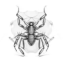 cockroach on spider net tattoo design idea