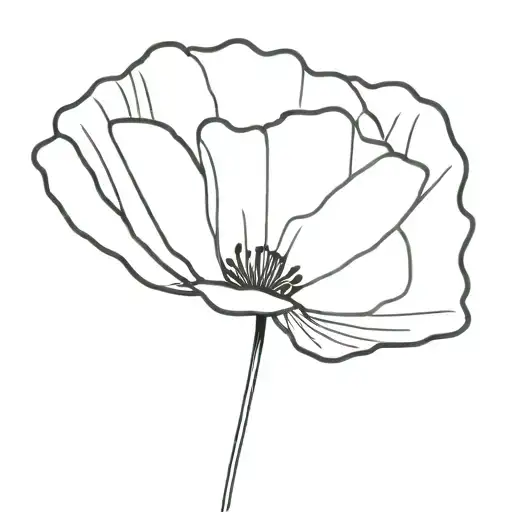 minimalist black lining of  poppy flower with words "vis ta vie" on the stem of the flower  tattoo design idea