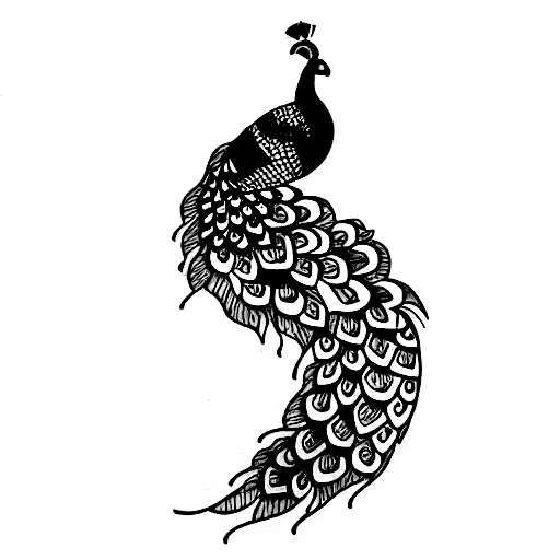 Peacock tattoo design idea