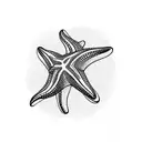 starfish ando sea life flat line tattoo design idea