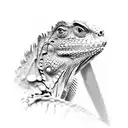 iguana tattoo design idea