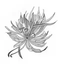 Agapanthus tattoo design idea