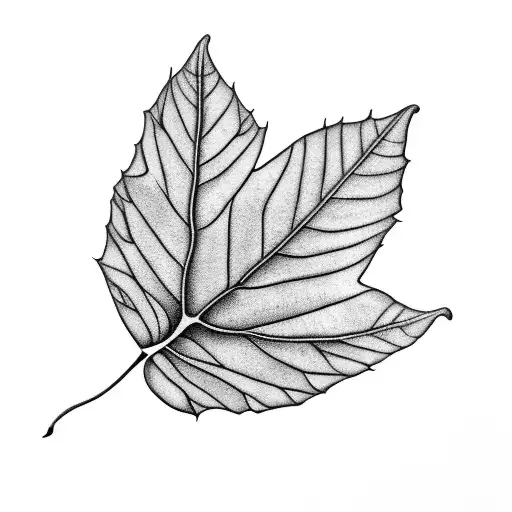 Sycamore Tree Stickers for Sale | Redbubble