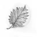 sycamore leaf tattoo design idea