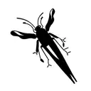 bugs  tattoo design idea