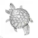 Turtle tattoo design idea