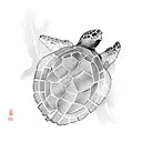 Turtle tattoo design idea