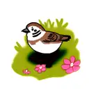 Sparrow tattoo design idea