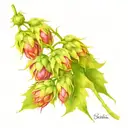 water barley hops yeast hop = beer tattoo design idea