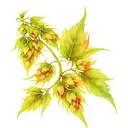 water barley hops yeast hop = beer tattoo design idea