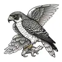 Peregrine falcon black and white small   mystical minimalist feminine  tattoo design idea