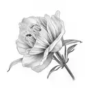 columbine tattoo design idea