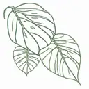 Monstera delicious leaf tattoo design idea