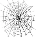 Spider Web tattoo design idea