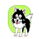 border collie loco tattoo design idea
