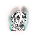 labrador chocolate tattoo design idea