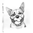 A realistic portrait of the client's beloved dog with a passport in its mouth, symbolizing the freedom to travel tattoo design idea