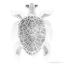 Turtle tattoo design idea