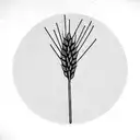 a wheat  tattoo design idea
