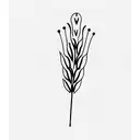 a wheat  tattoo design idea