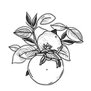 A BOUQUET OF LEMON TREE, WITH FLOWERS, LEAVES AND LEMONS. tattoo design idea