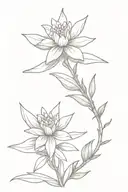 Spine tatto of a lavender and an edelweiss flower. Simple and thin.  tattoo design idea